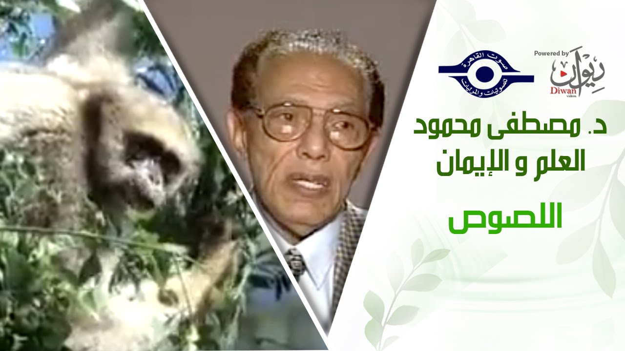 د. مصطفى محمود - العلم والإيمان - اللصوص