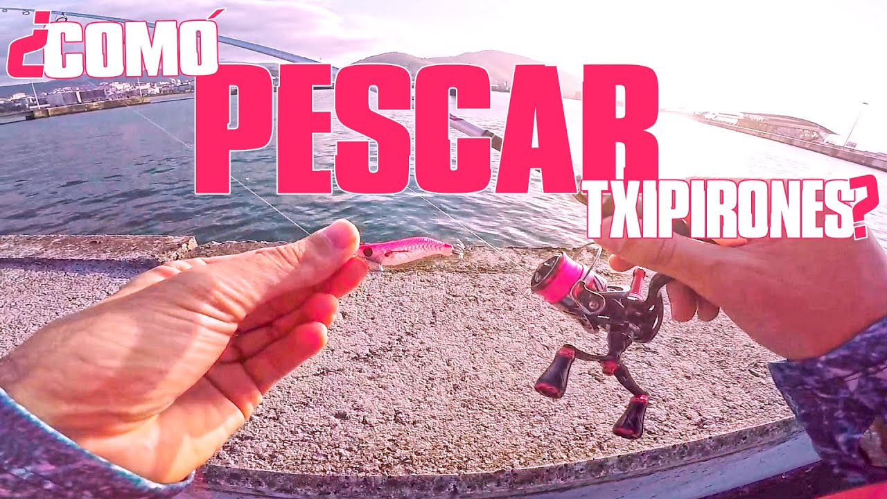 Pesca de Calamares de Verano 🌬🙏🔊 Equipo para Txipirones