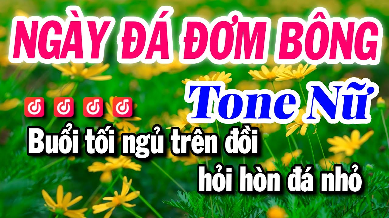 Karaoke Ngày Đá Đơm Bông Tone Nữ Beat Dễ Hát Mới Nhất Hiện Nay - Karaoke Tuyết Nhi 2025