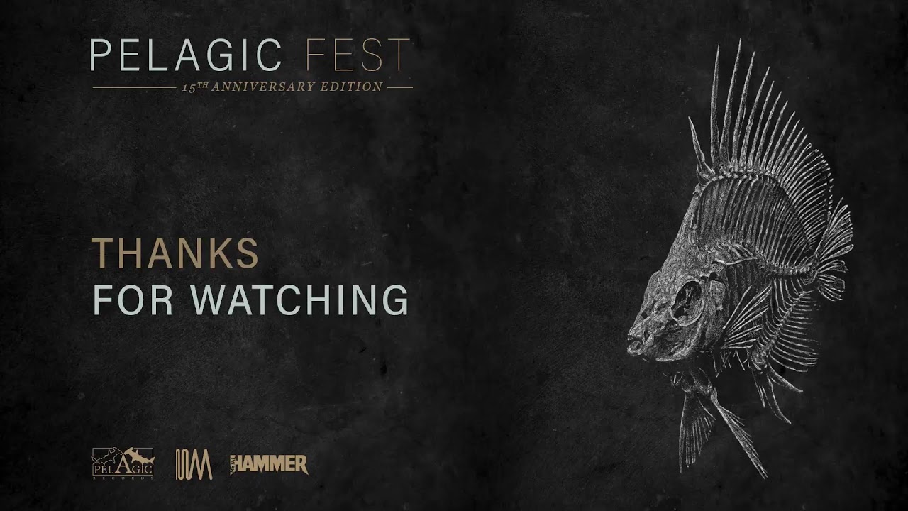 Pelagic Fest 2024 - Live Stream - Day 2