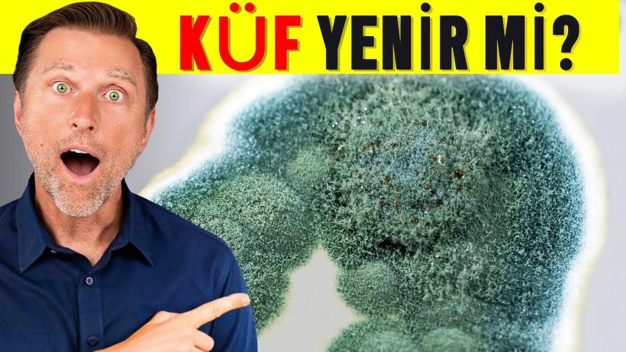 Küf ve Mantarlar Sizin İçin Faydalı Olabilir mi? | Dr. Berg Türkçe