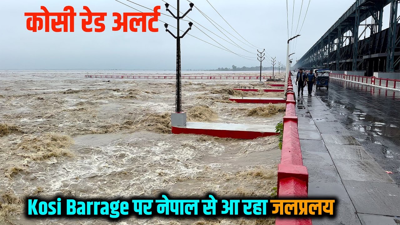 Kosi Barrage पर नेपाल से आ रहे जलप्रलय को देखकर आप डर जाएँगे आप | Kosi Flood 2024 | Way4U