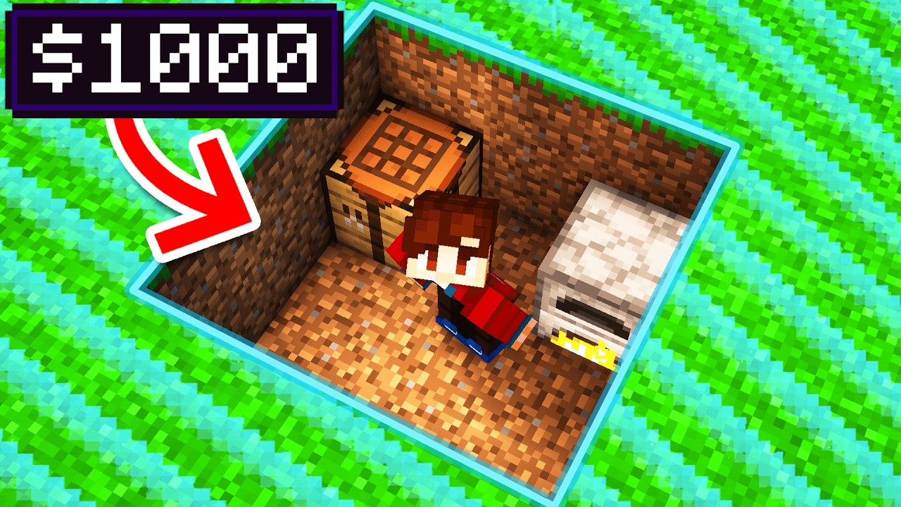 Every Dollar I Earn Expands My Minecraft World