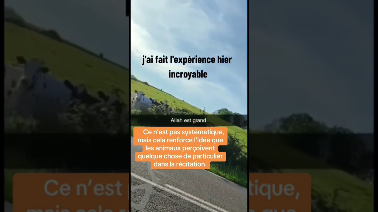 #pour