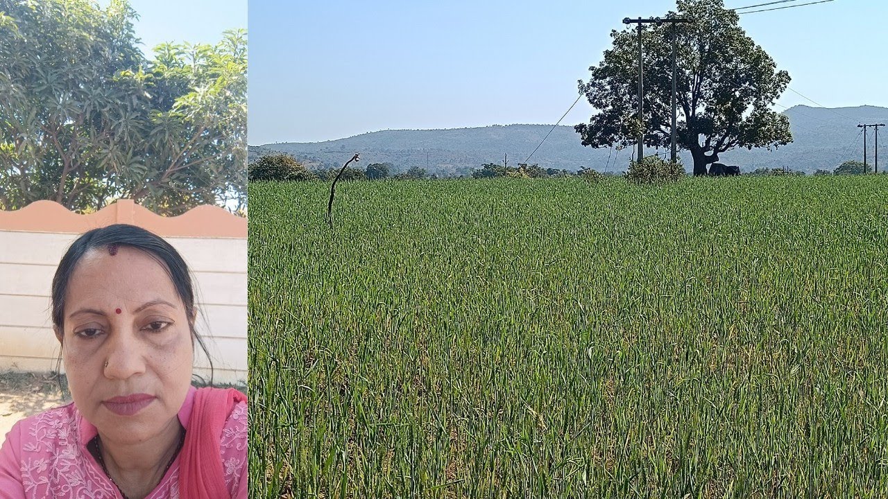 Aaj ke live mai ek bahut hi khubsurat jagah