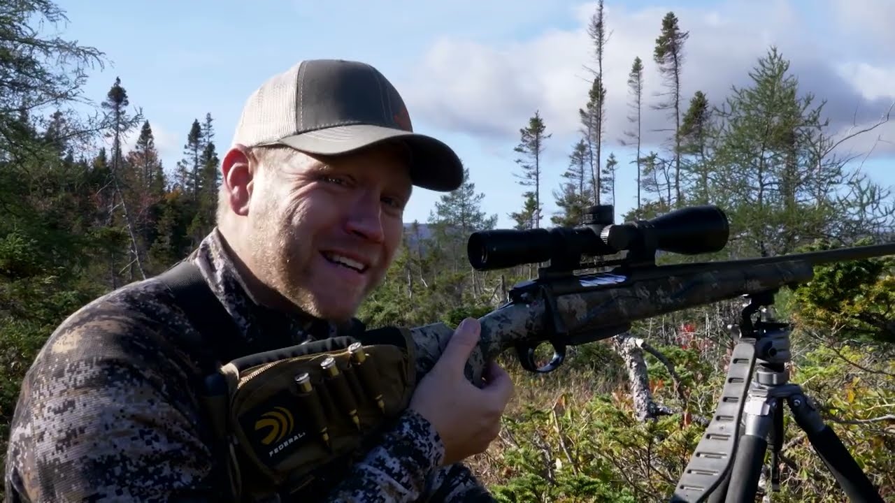 Hunting Giant Newfoundland Moose
