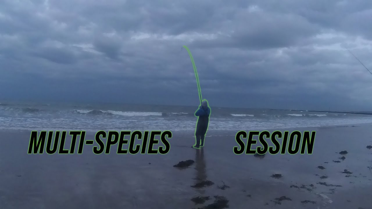 Shore Fishing UK | Beach Fishing in Northumberland | Unusual Catch!