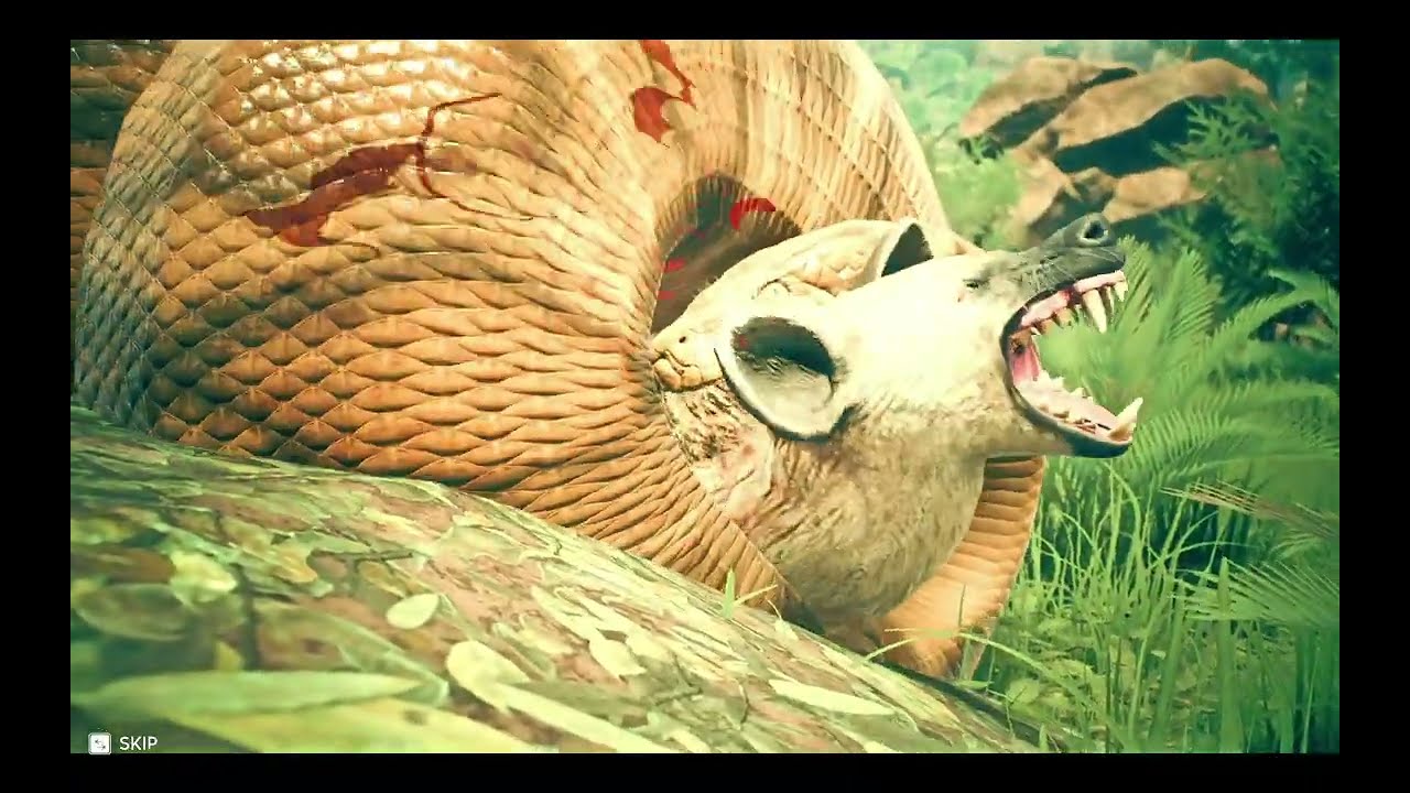the African Rock Python kill the Enemy Hyena
