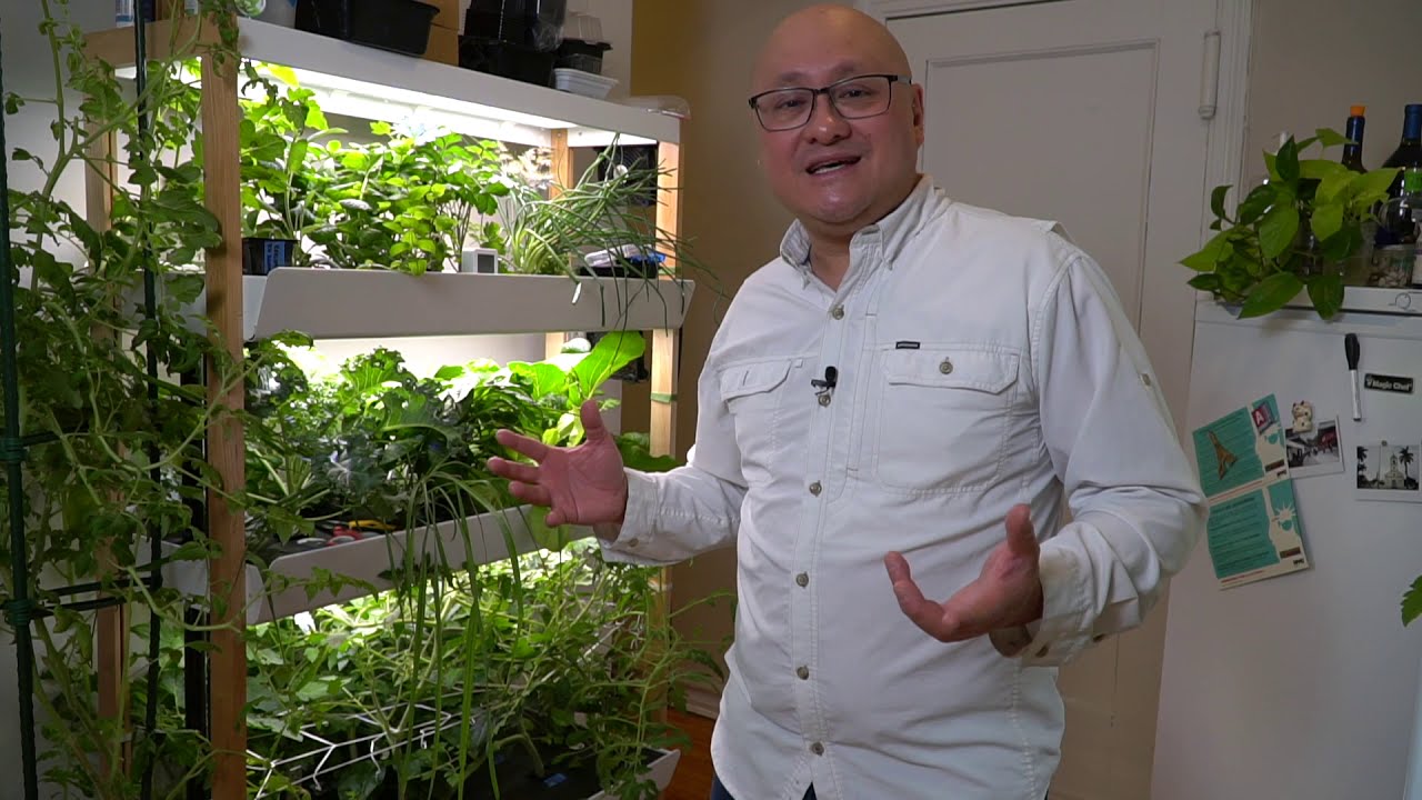 Grow with Me: Rise Gardens Week 3 Update