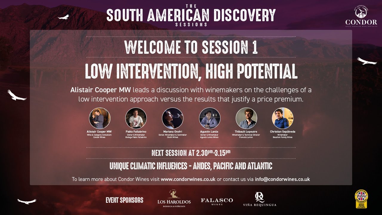 Condor Wines - South American Discovery Sessions - Low Intervention, High Potential
