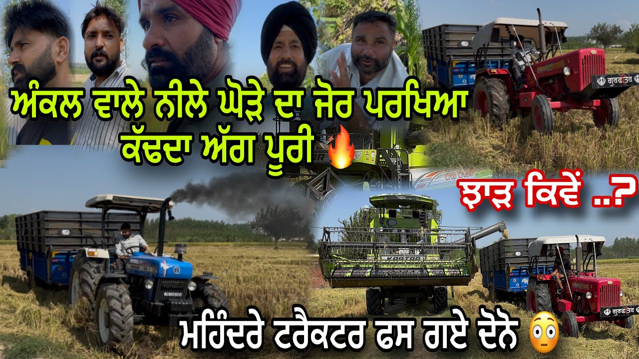 ਬੰਟੀ ਦੀ ਵੱਡੀ ਜੀਰੀ 🌾 