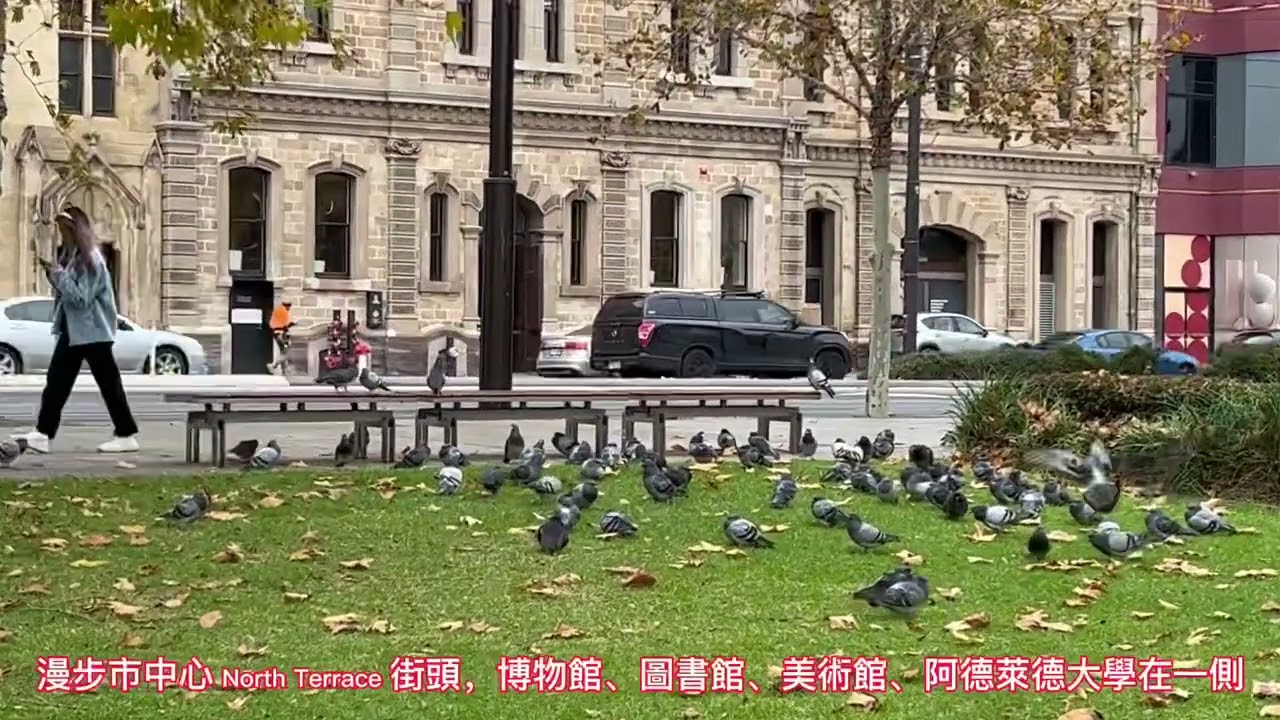 冬遊南澳～阿德萊德 Adelaide 篇