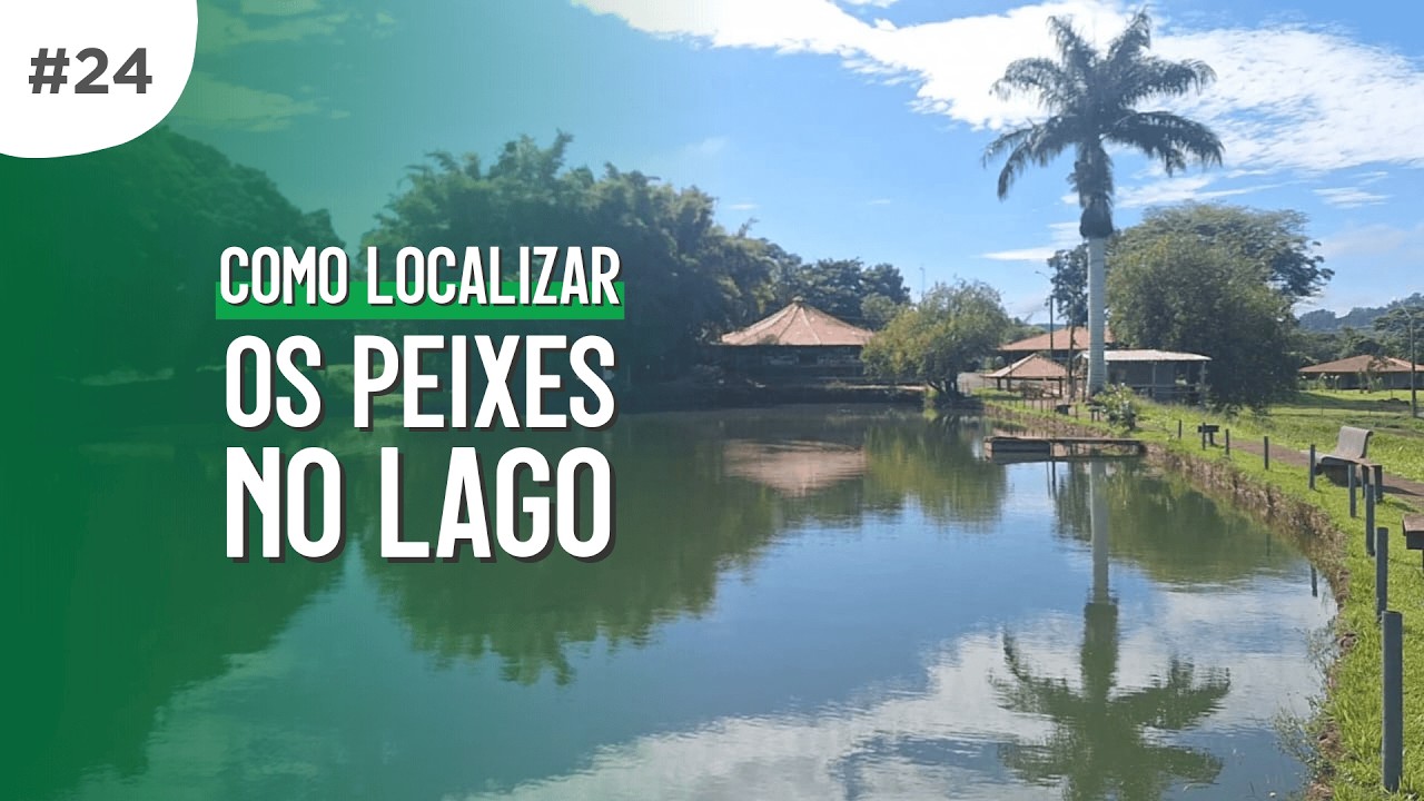 #DICA 24 - Como localizar os peixes no lago (Dica infalível)