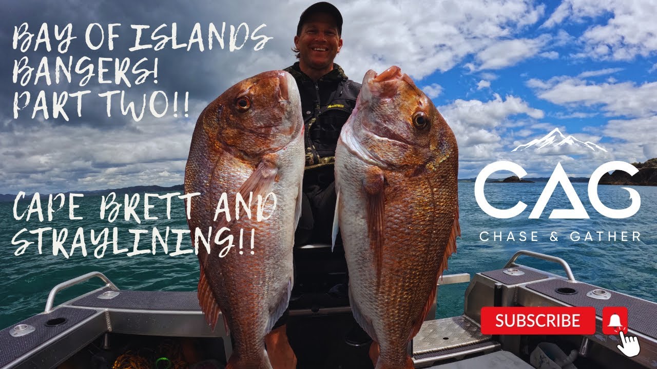 Bay of Islands Bangers! Cape Brett & Straylining! Part 2