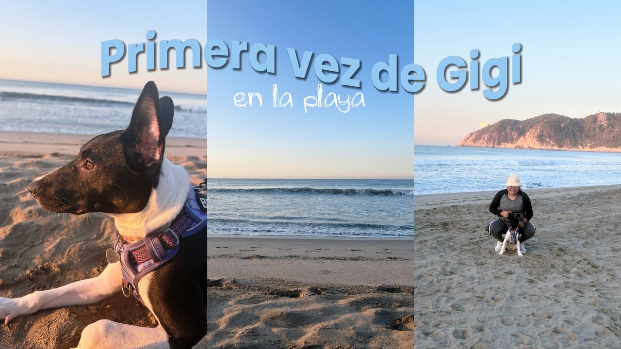 Nos fuimos de caminata 🏃Primera vez de mi perro en la Playa 💌 