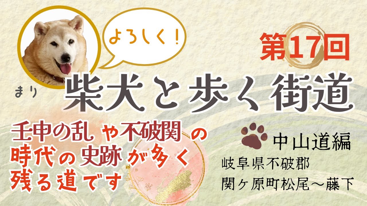 柴犬と歩く街道　中山道　岐阜県不破郡関ケ原町松尾～藤下