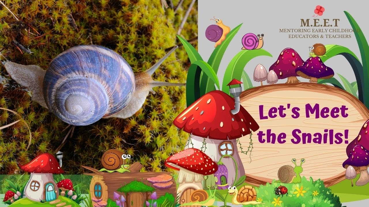 Let's Learn About Snails! | online preschool educational video for kids