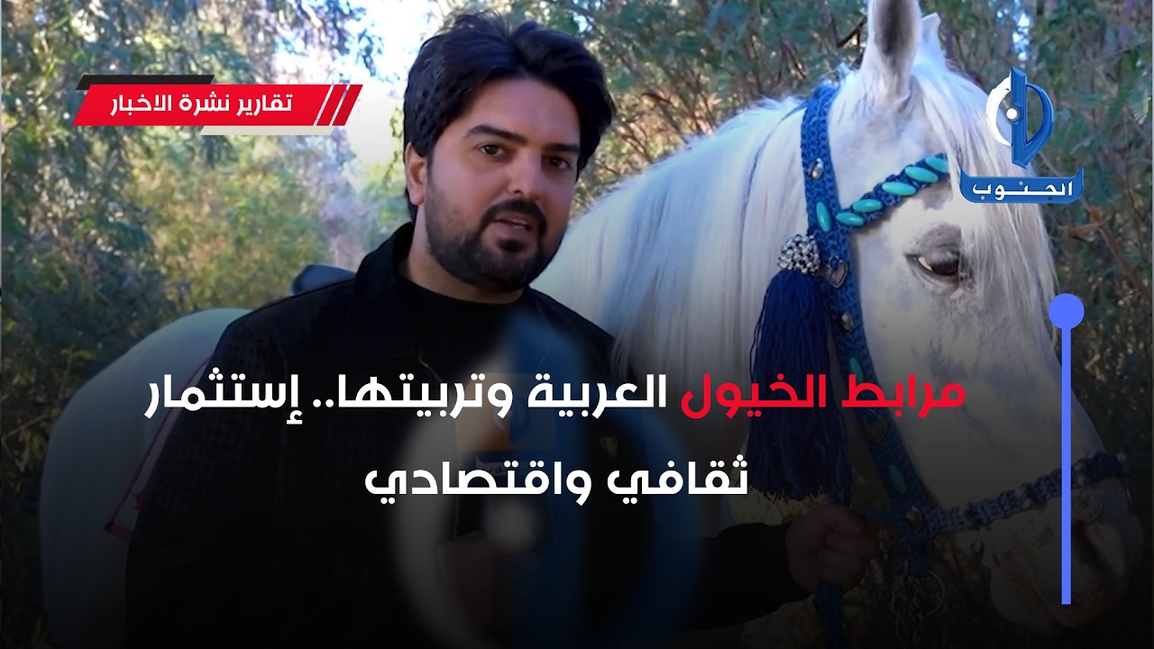 مرابط الخيول العربية وتربيتها.. إستثمار ثقافي واقتصاديتقرير : سلام نعيم