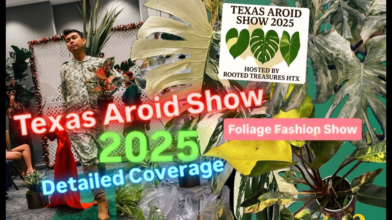 Texas Aroid Show 2025 Detailed Coverage of Rare Variegated Exotic Aroids and Plants