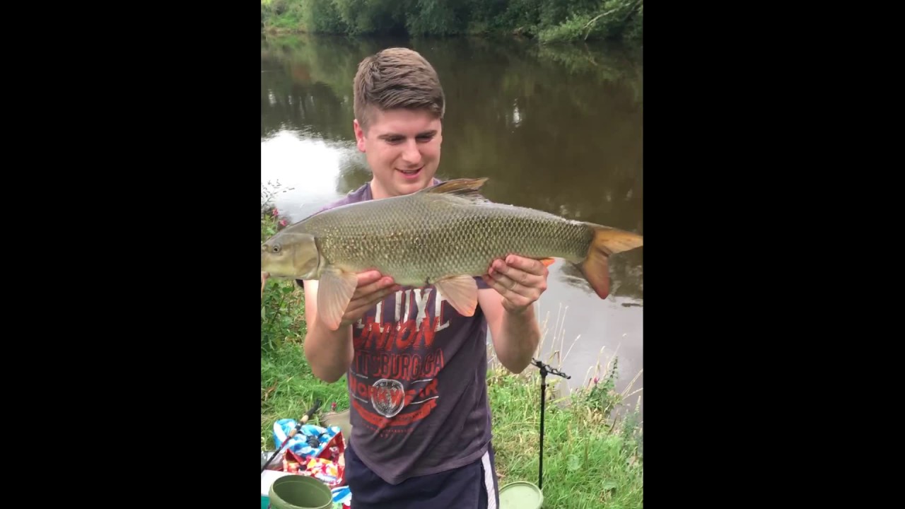 River Wye Barbel fishing