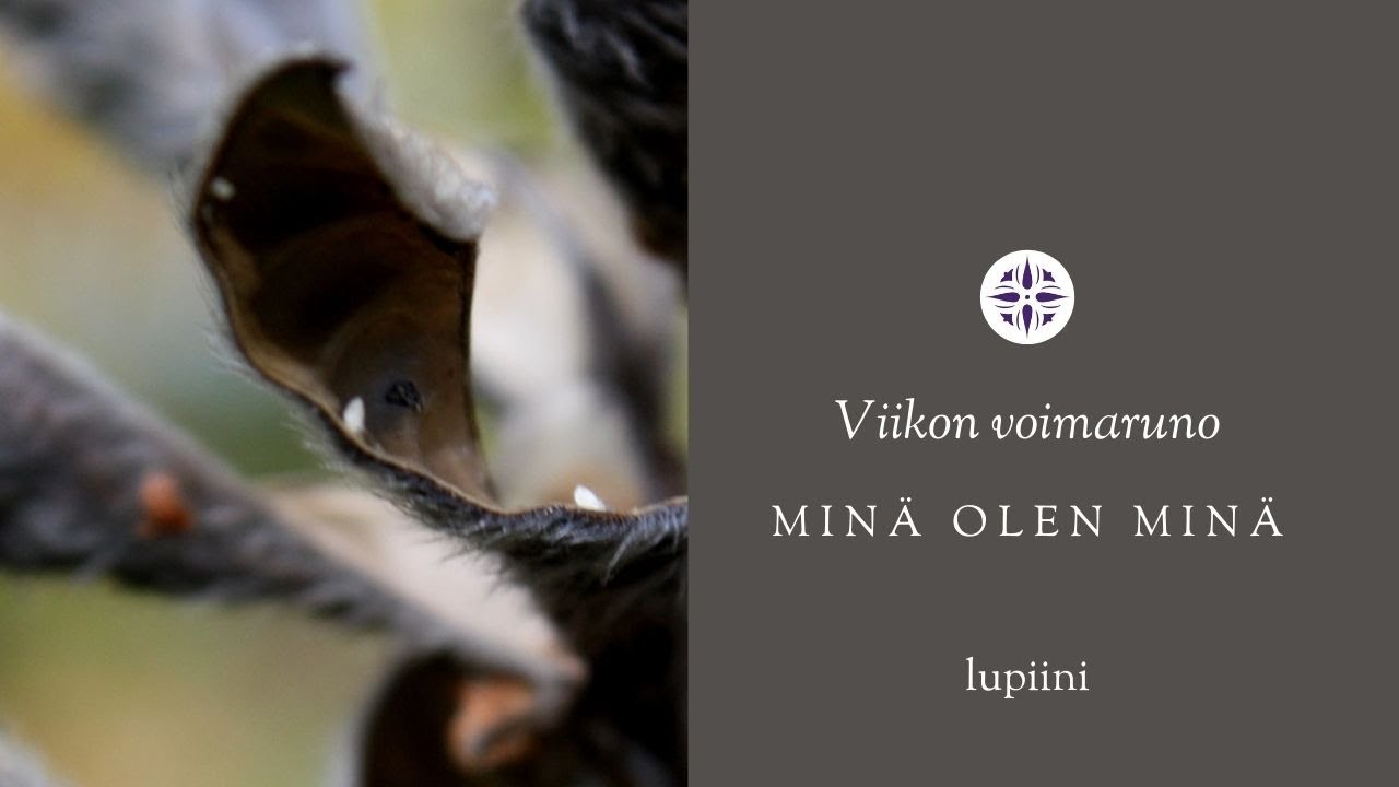 Min&auml; olen min&auml; Voimaruno viikolle 40 - 21