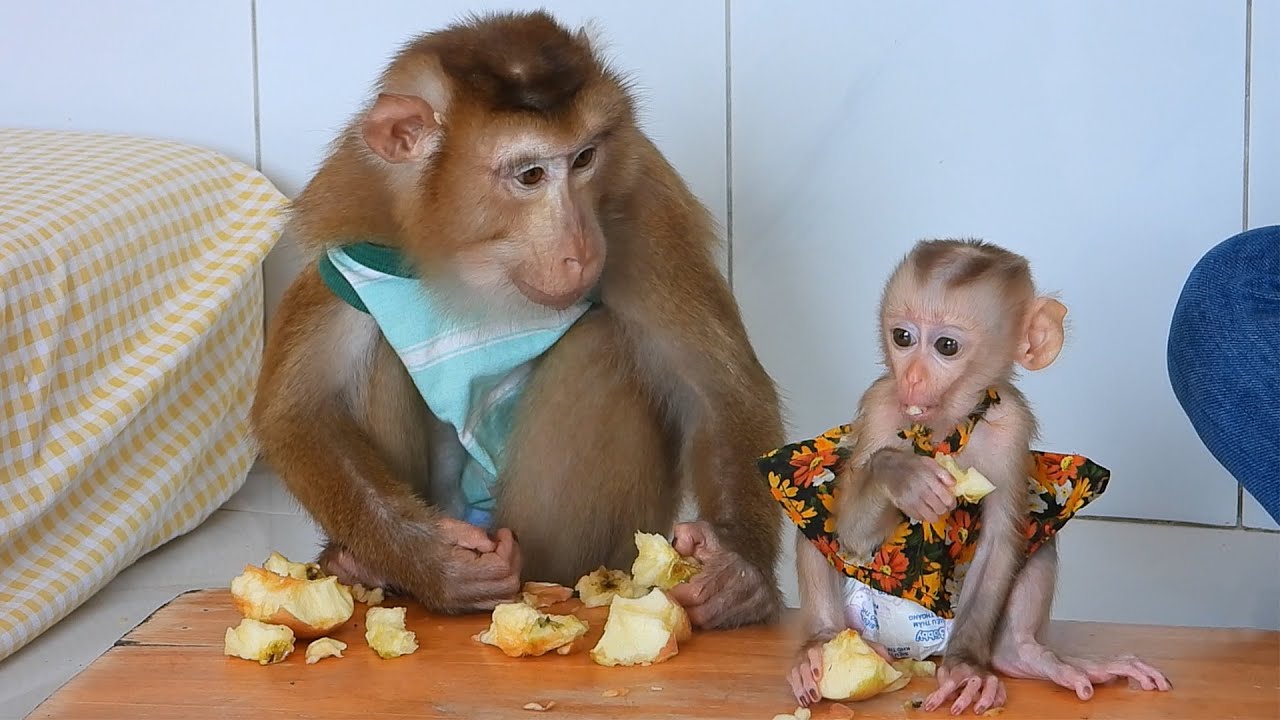 Adorable Brother Olly With Tiny Valen Eating Yummy Apple Fruits