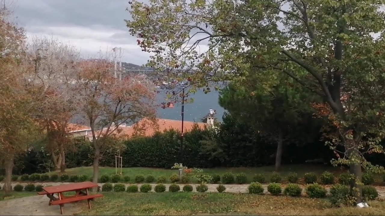 Fethipaşa korusu, sabah, rüzgar - İstanbul