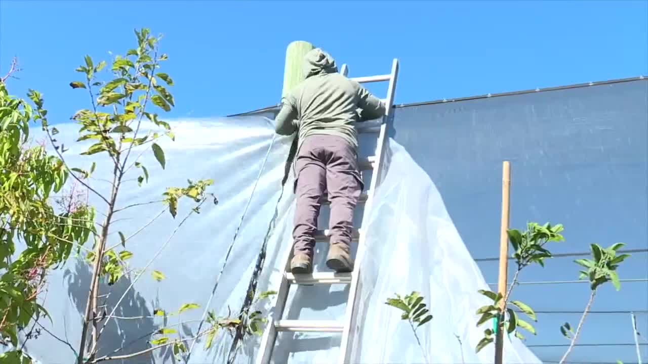 Fruitscapes Nursery deals with the cold