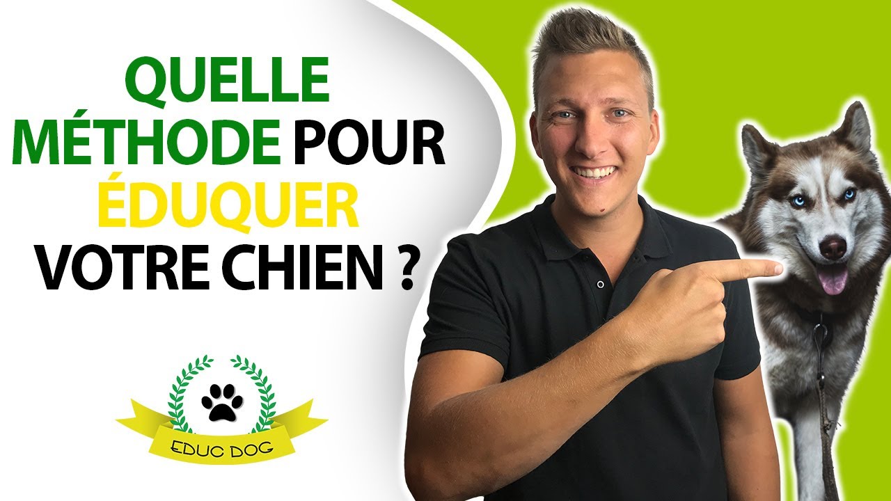 LES INCONV&Eacute;NIENTS  DES M&Eacute;THODES POSITIVES D&rsquo;&Eacute;DUCATION !!!!!!