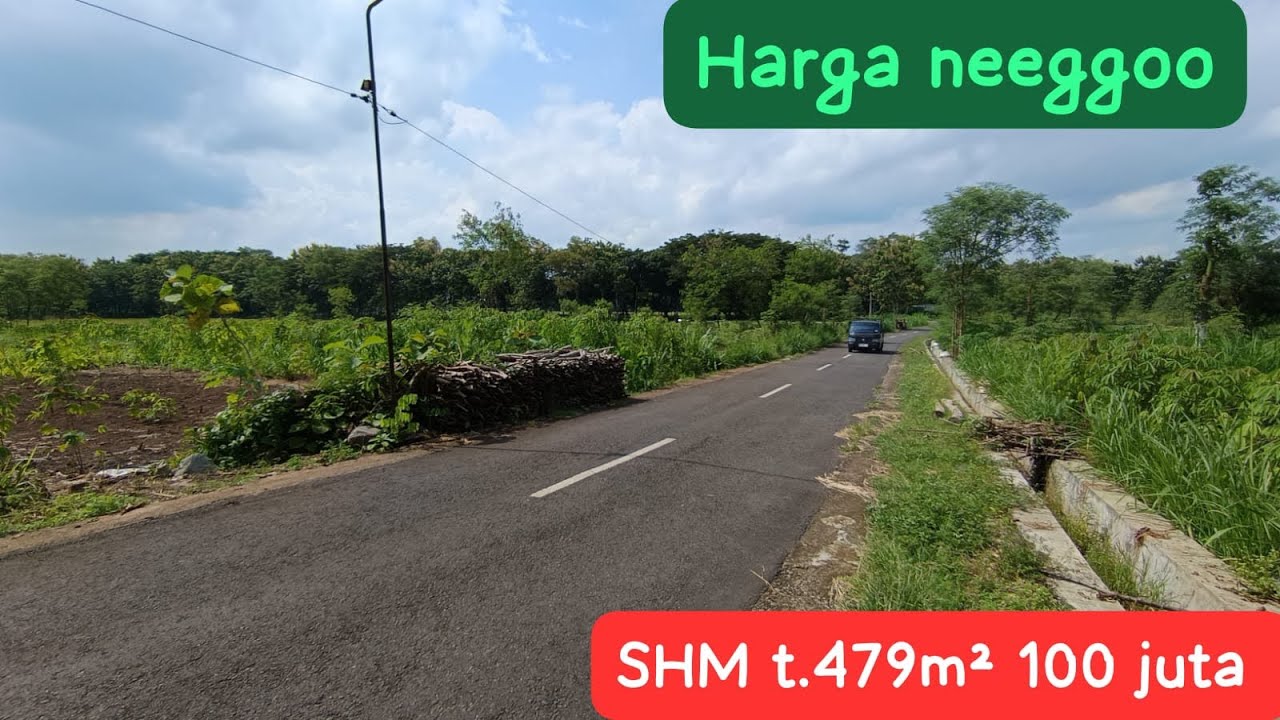 TERJUAL ❌TANAH NEMPEL JALAN ASPAL SIAP BANGUN MURAHH !!#jualtanah #tanahmurahgunungkidul 
