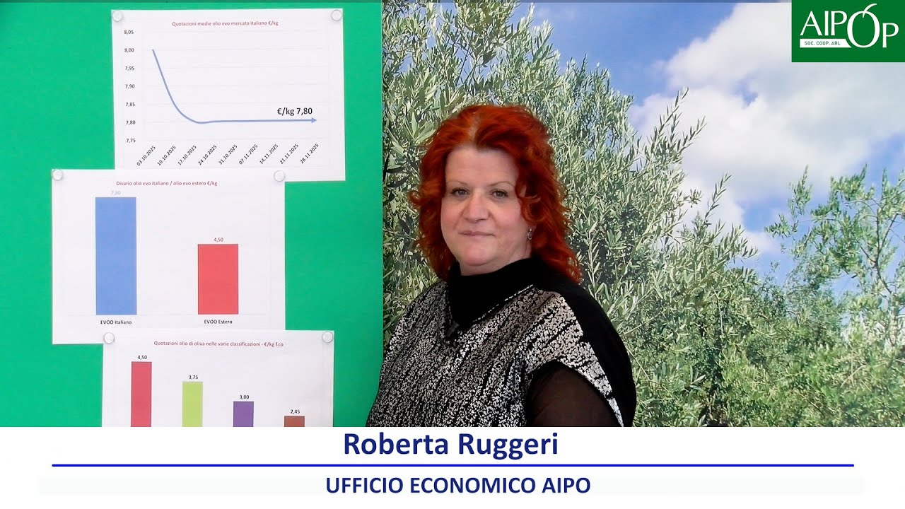 Oli extra vergine di oliva - Quotazioni 6 Febbraio 2026