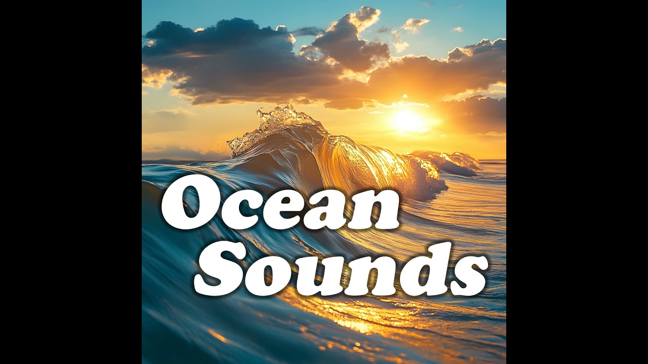 Gentle Shore Rhythms: Relaxing Coastal Sounds