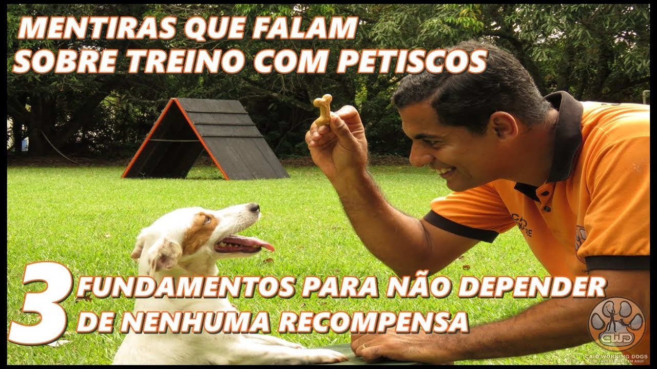 PETISCOS NO TREINO - COMO USAR E COMO SE LIVRAR DELE EM 3 FASES