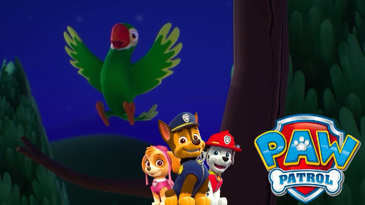 New Paw Patrol Adventure Pups Save a Parrot | Paw Patrol World