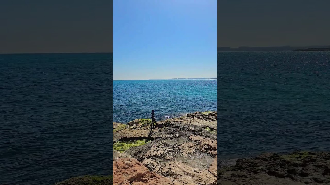 Live Stream 