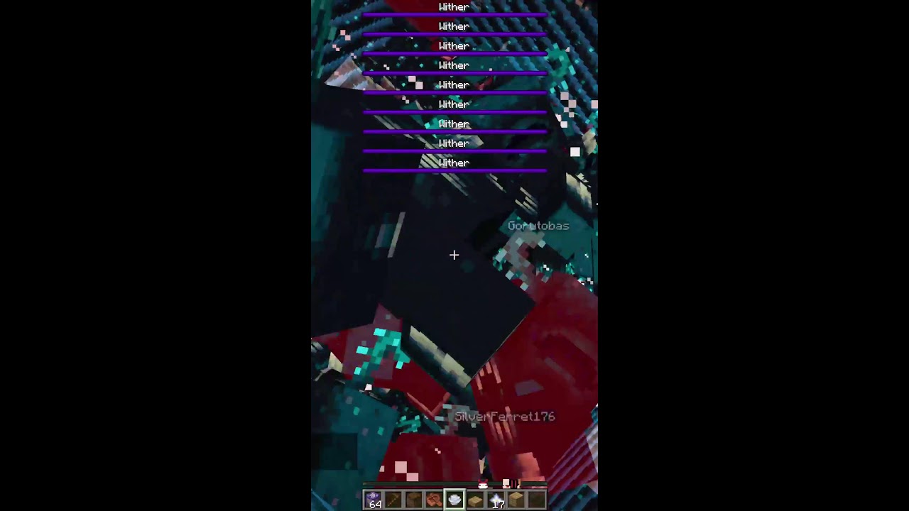 Viewer SMP