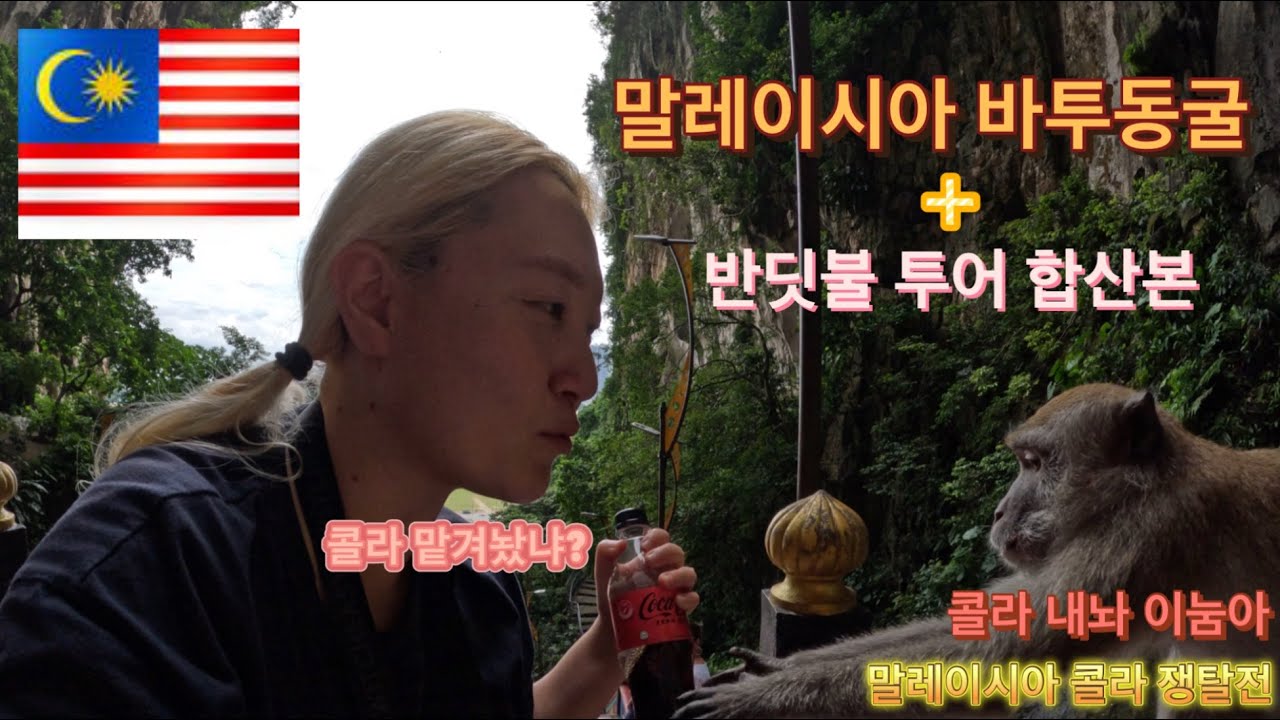 말레이시아에서 콜라 지키려다 원숭이랑 싸웠습니다. (🇲🇾Malaysia. Ep 2)
