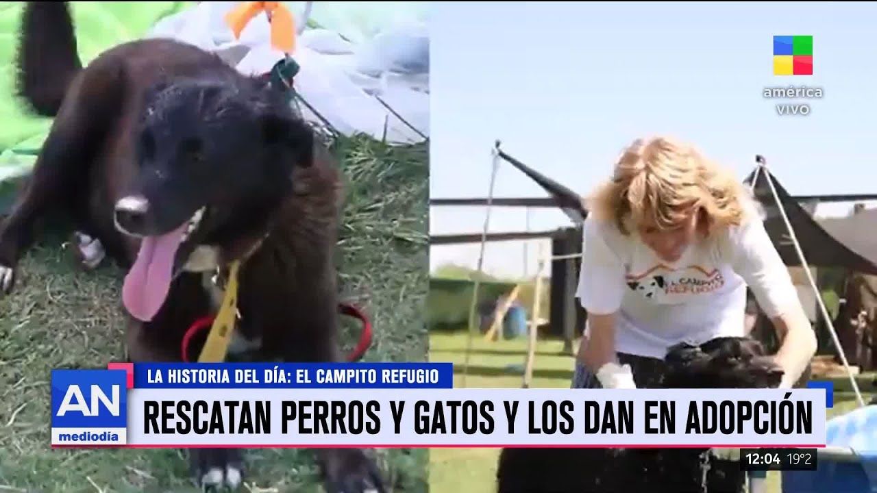 Refugio 