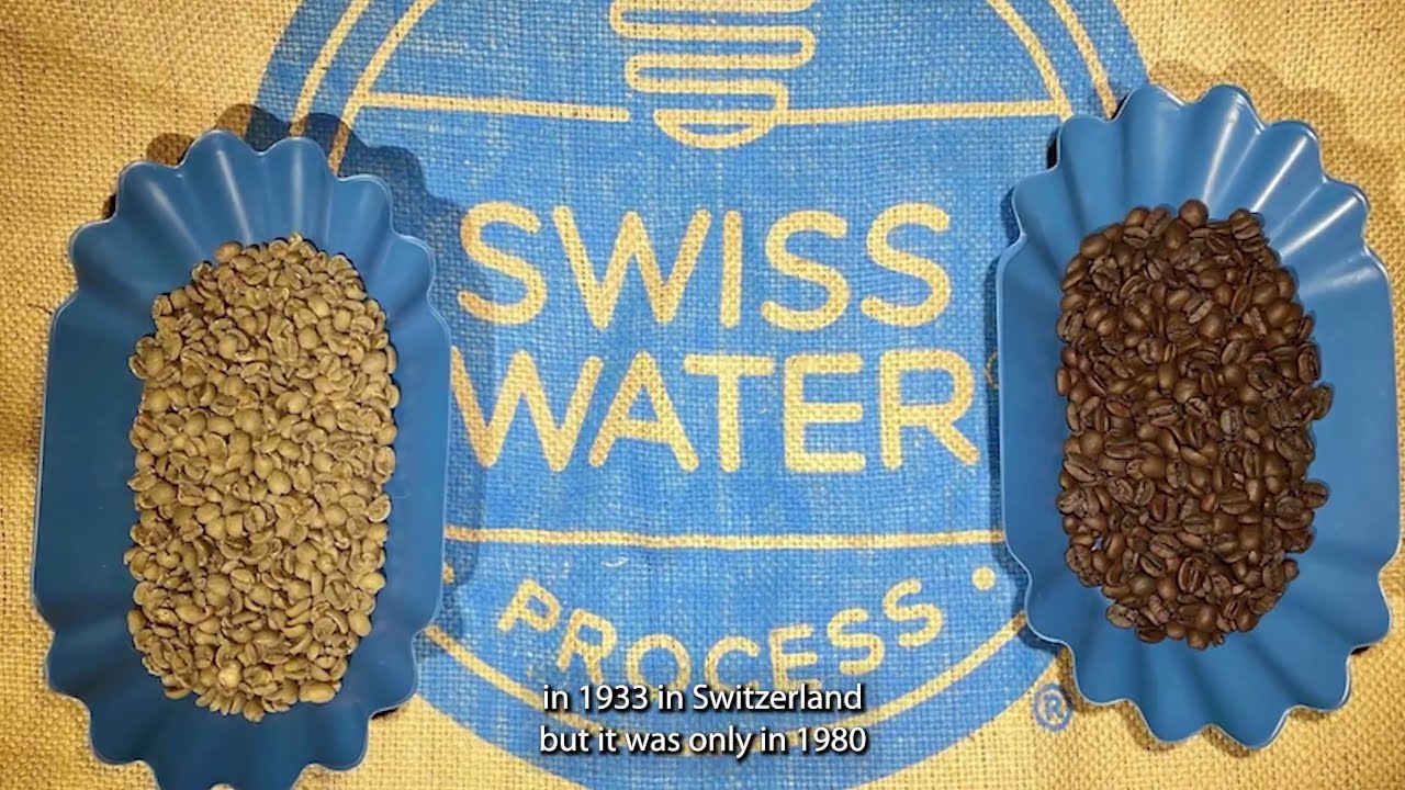 What Is Swiss Water Decaf Coffee? How is Swiss Water Process Decaffeinated Coffee Manufactured?