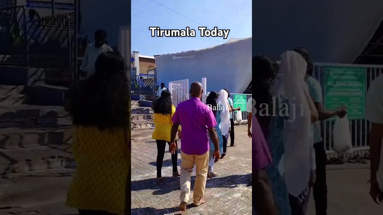 Tirumala Today Live 