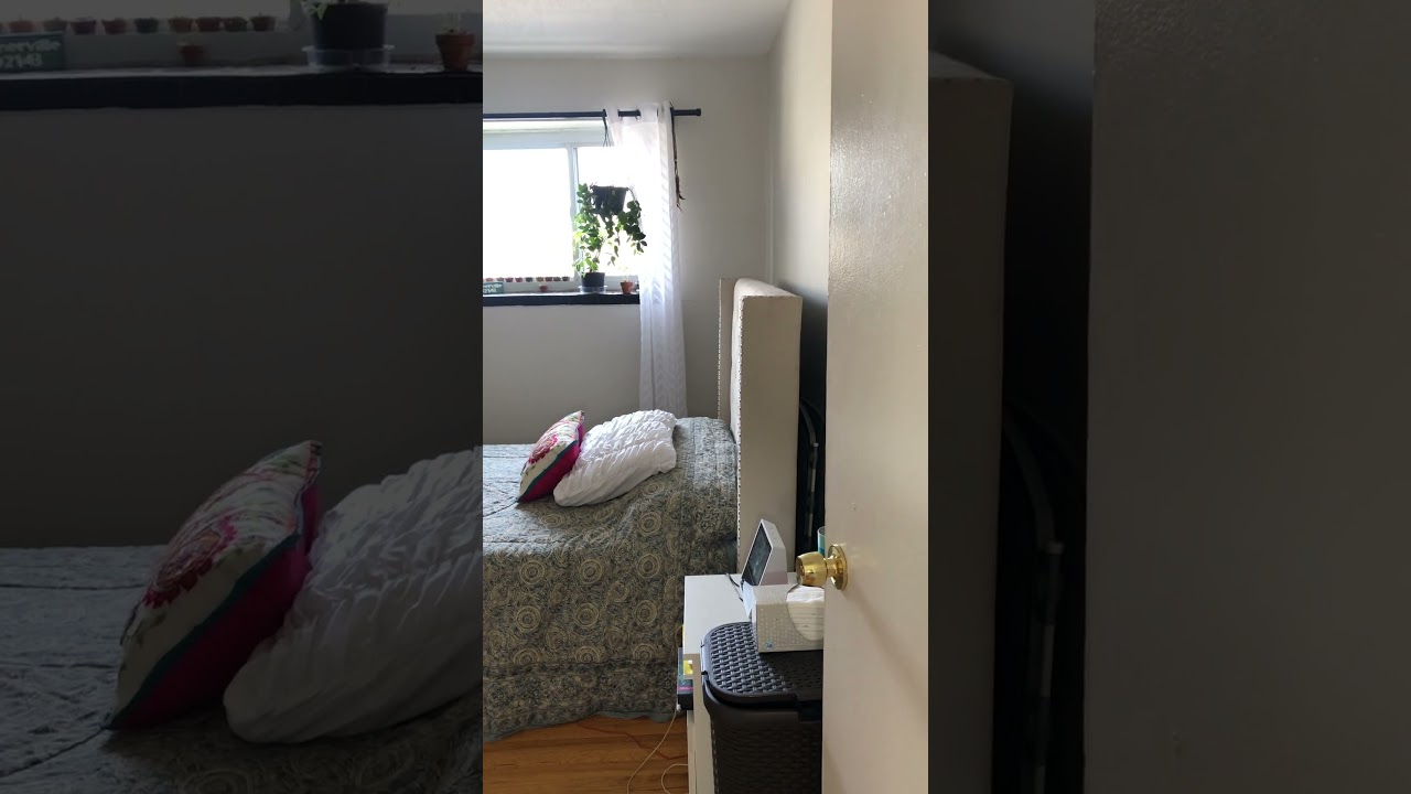 239 Kelton Apt 32 Boston MA 02134
