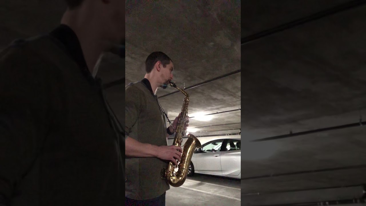 Silverstein Cryo4 Ligature Demo