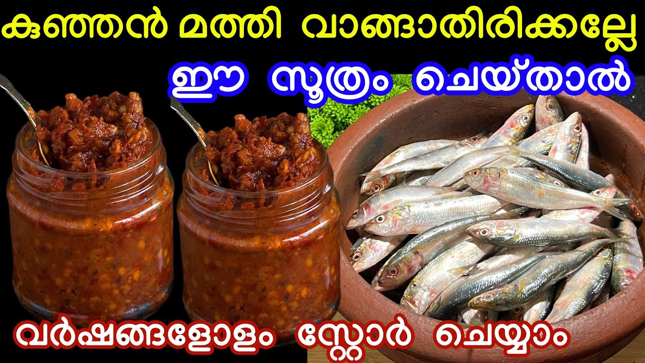 കുഞ്ഞൻ മത്തി എവിടെ കണ്ടാലും വാങ്ങിക്കോ ഈ സൂത്രം ചെയ്താൽ വർഷങ്ങളോളം സ്റ്റോർ ചെയ്യാനും പറ്റും 