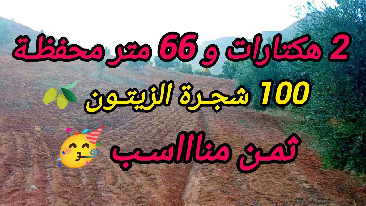 2026-1-13 : أرض تيتر محافظة ، 2 هكتارات و 66 متر ، 100 زيتونة 🫒 ، ثمن منااسب . الهاتف ☎️ 0652902061