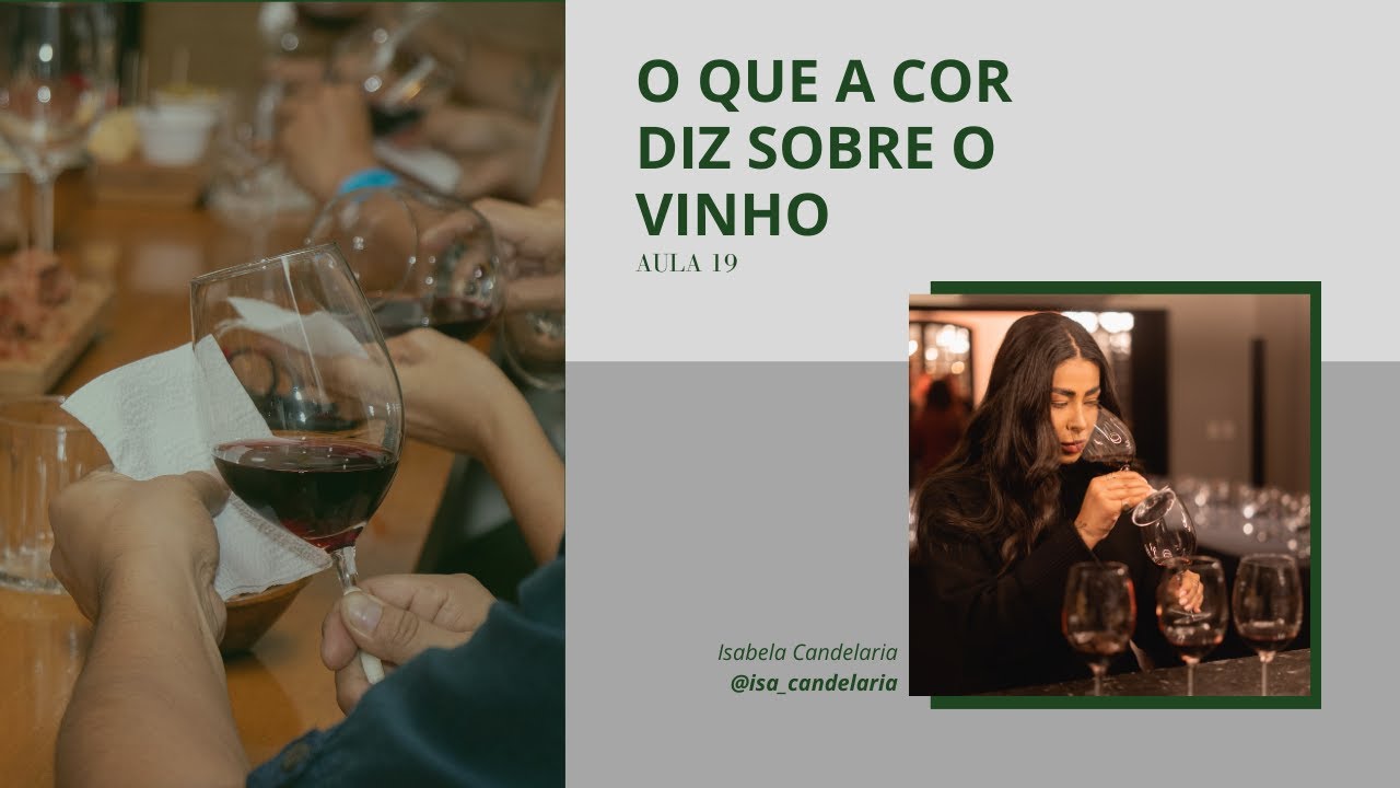 ANÁLISE VISUAL DO VINHO 👁️ O Que Observar na Taça | Curso de Vinhos