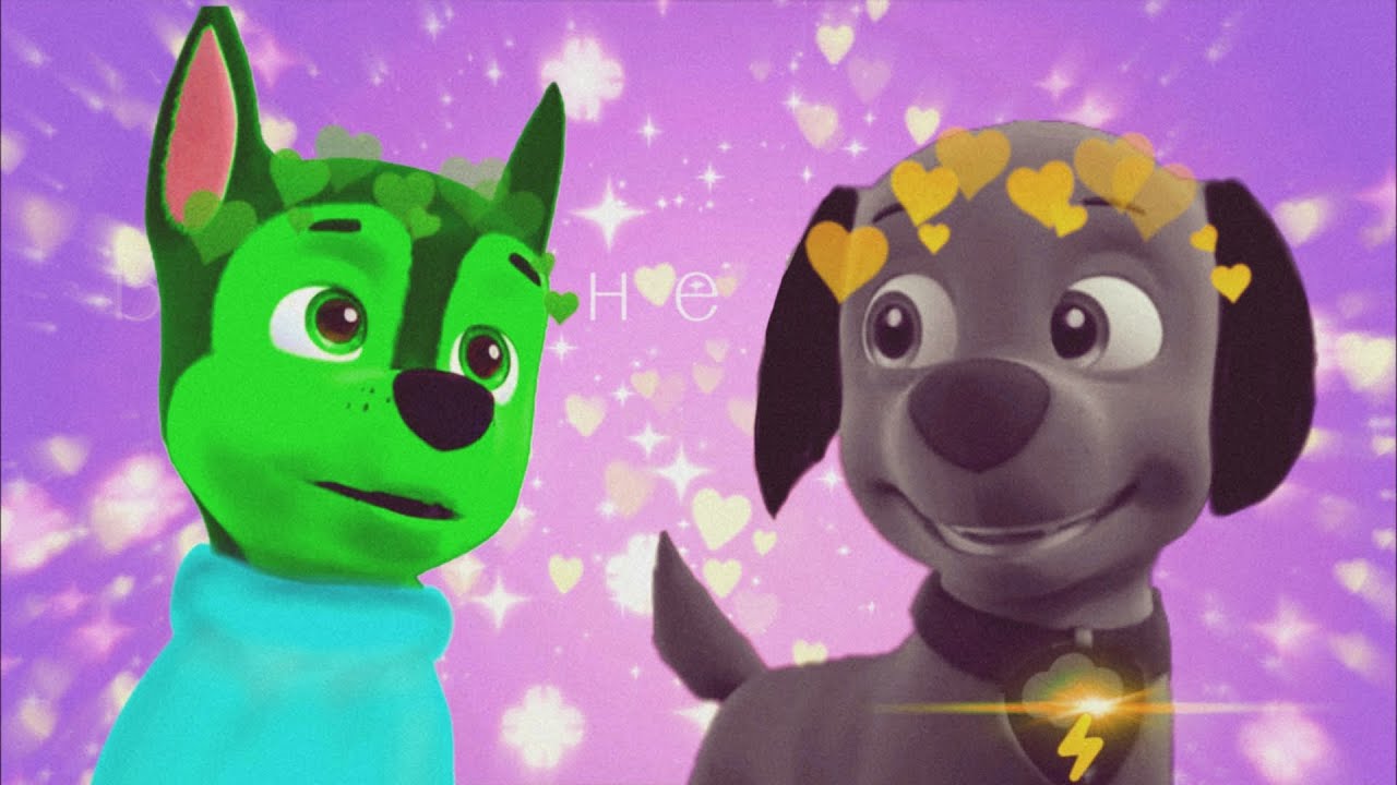 Коллаб с @PAWPOTRUL 💚Трекер и Скай🩷 🧡Зума и Скай🩷 ~время не пришло~