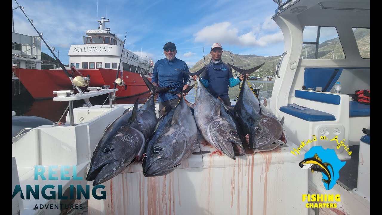 Deep sea fishing | Yellow Tail & Tuna Fishing