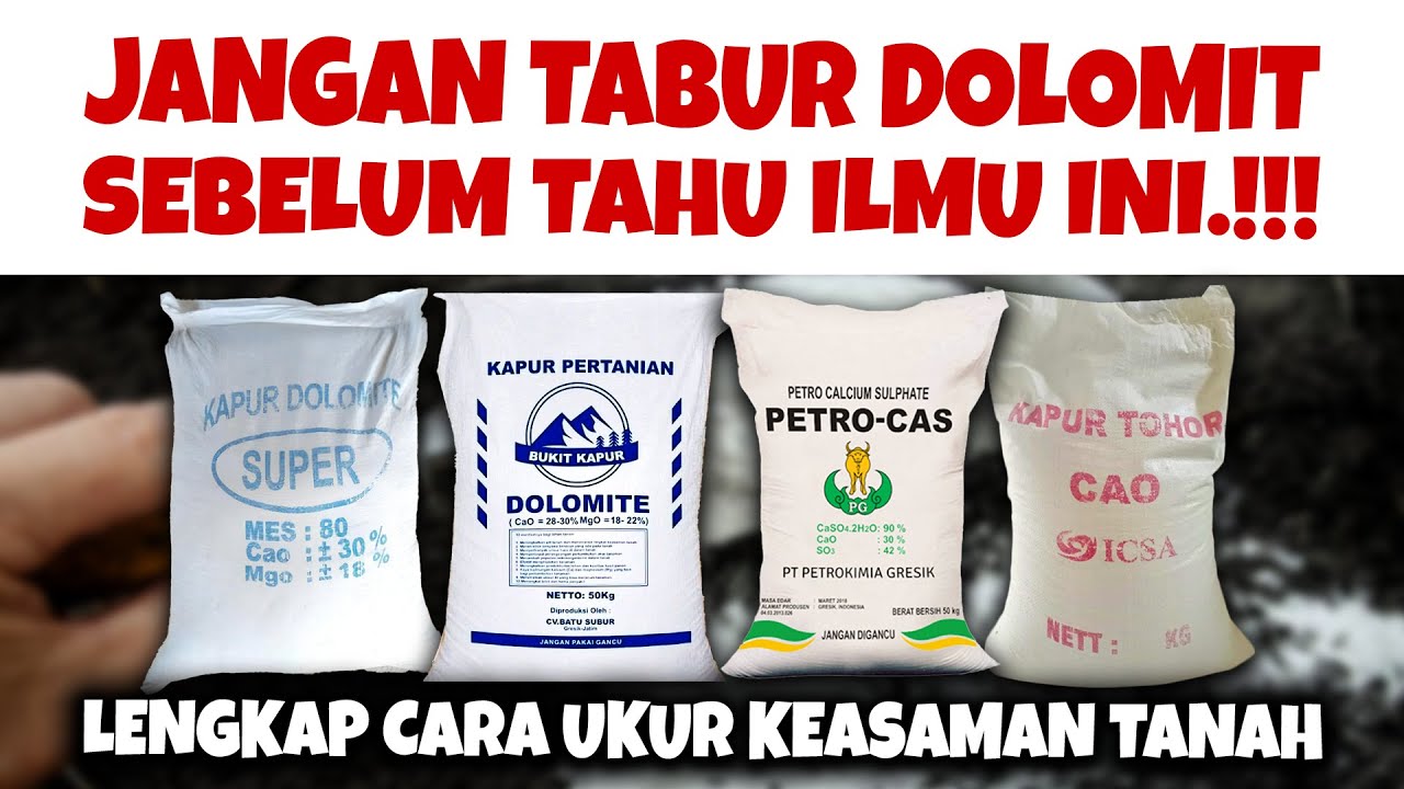 STOP.❗❗❗JANGAN TABUR KAPUR DOLOMIT DULU SEBELUM TAHU ILMU INI | Cara ukur pH / keasaman tanah