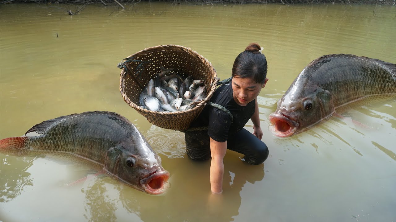 The village girl drain wild lake using a pump catch many fish --Unique Fishing