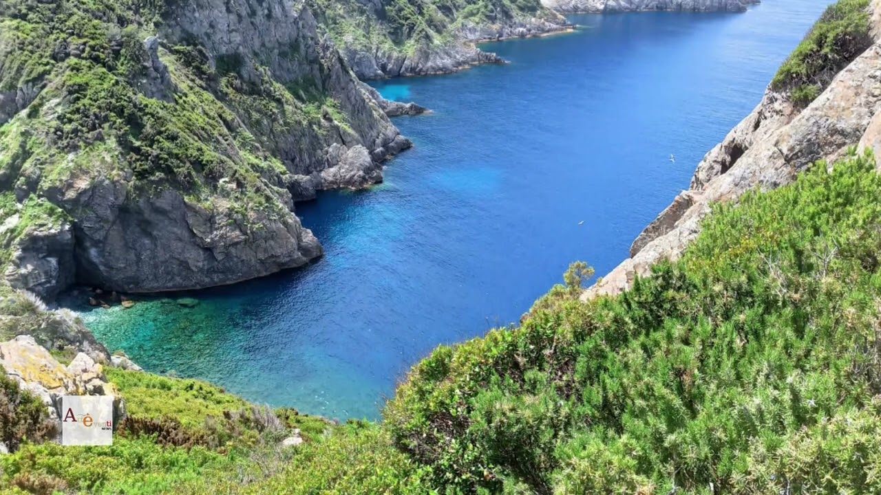 Escursione all'Isola di Gorgona